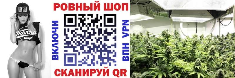 ГАШ Новозыбков