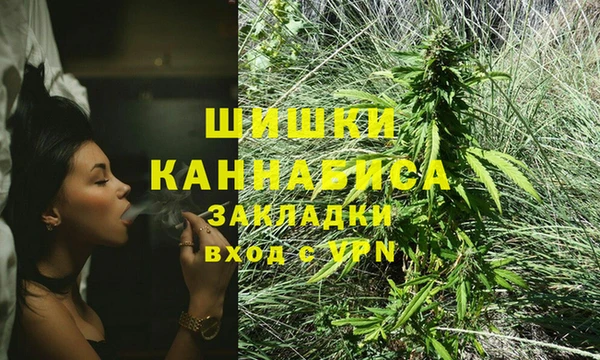 первитин Богородицк