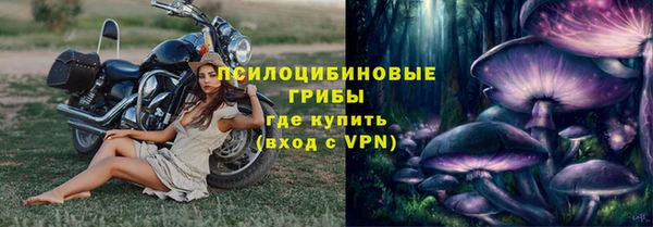 мескалин Богданович
