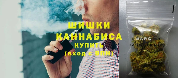 Альфа ПВП Богородск