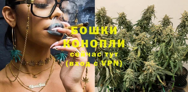 первитин Богородицк