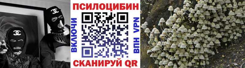 это телеграм  дарнет шоп  Новозыбков  Галлюциногенные грибы мухоморы 